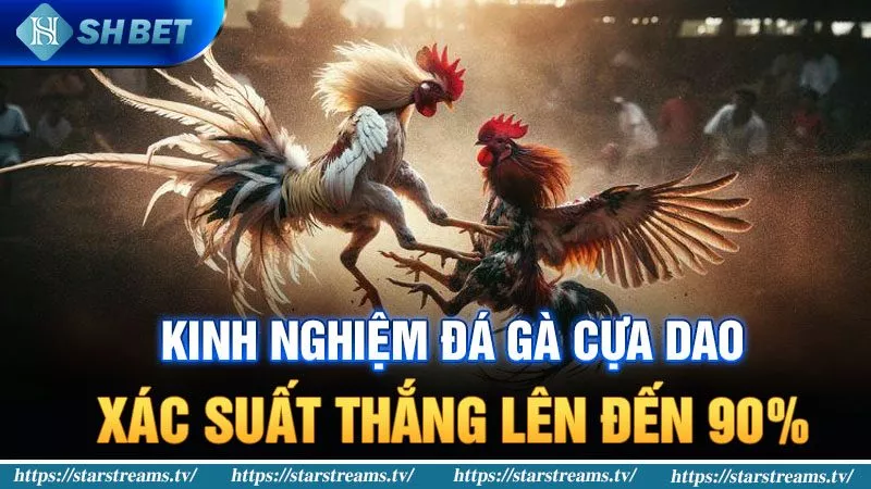 Hướng dẫn cách đăng ký trở thành thành viên Go99 - Go99