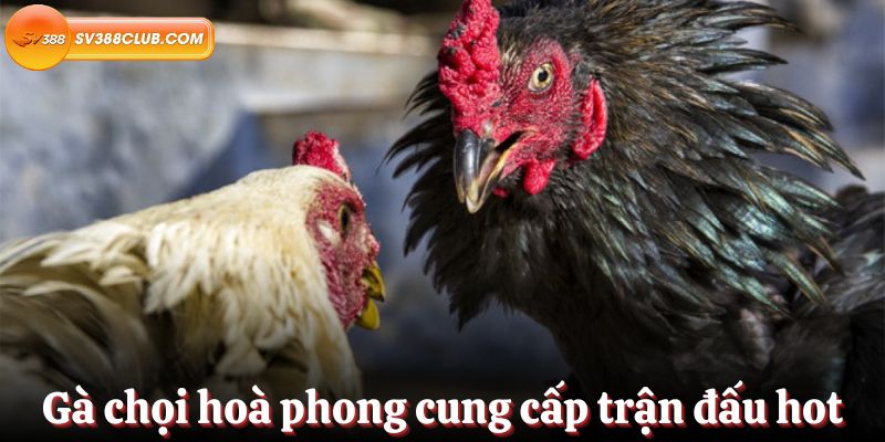 Khuyến mãi 2: Tải ứng dụng Eu88 để nhận 100000 điểm - Eu88