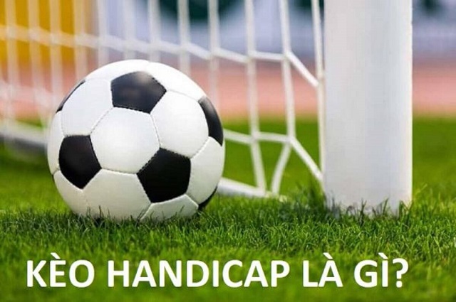 Winwin có những trách nhiệm gì? - Winwin