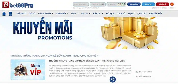Tôi có thể liên hệ với Kv999 bằng cách nào? - Kv999