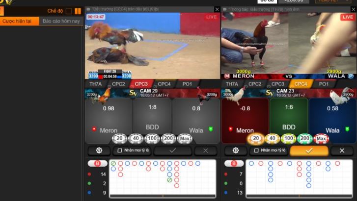 Các chính sách dành cho đại lý cấp Bet999 rất hấp dẫn - Bet999