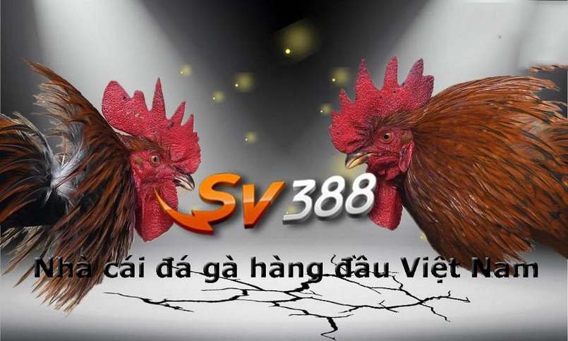 Các phương pháp tăng cơ hội thắng khi chơi Bài Bửu Vb68 - Vb68