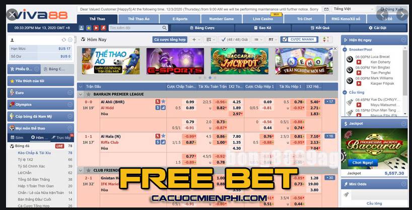 Đội ngũ chuyên gia 33Win - 33Win