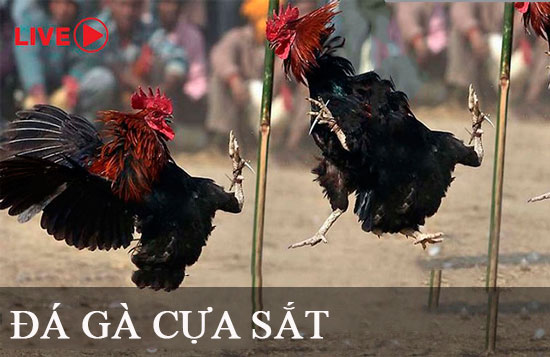 Làm thế nào để đăng nhập vào cấp độ Gamebet? - Gamebet