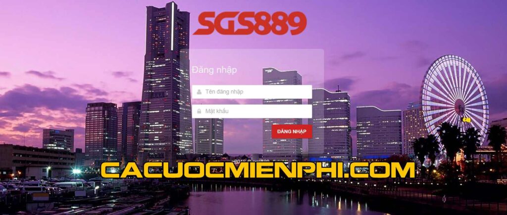 Những yêu cầu tối thiểu nào cần thiết để một đội cấp độ Sunwin tham gia cuộc thi? - Sunwin