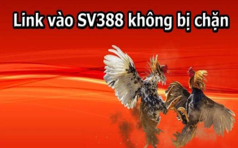 Xếp hạng tổng thể K8vn King - K8vn