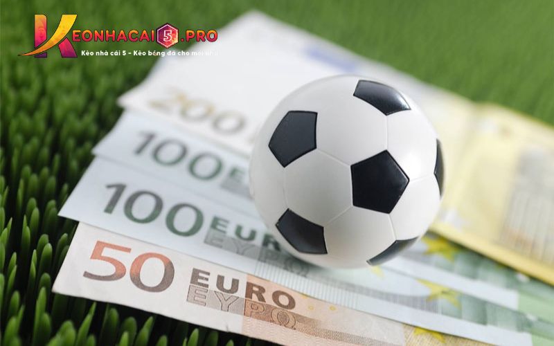 Bài viết của Betcom rất thú vị - Betcom