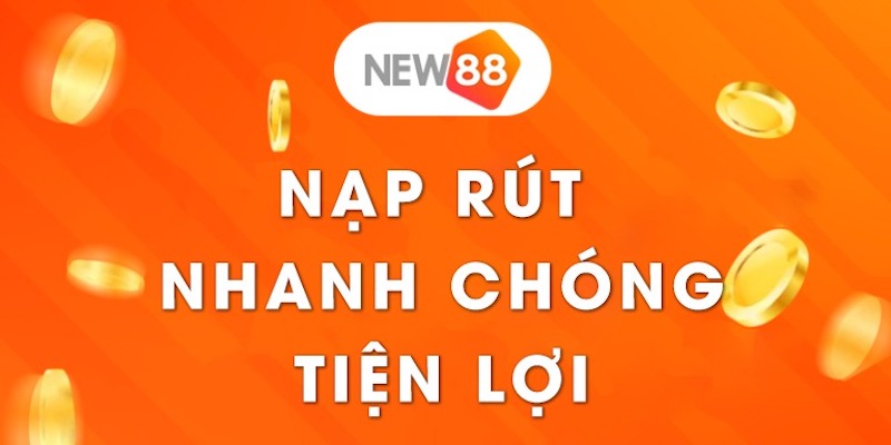 Dịch vụ trò chơi Winvn - Winvn