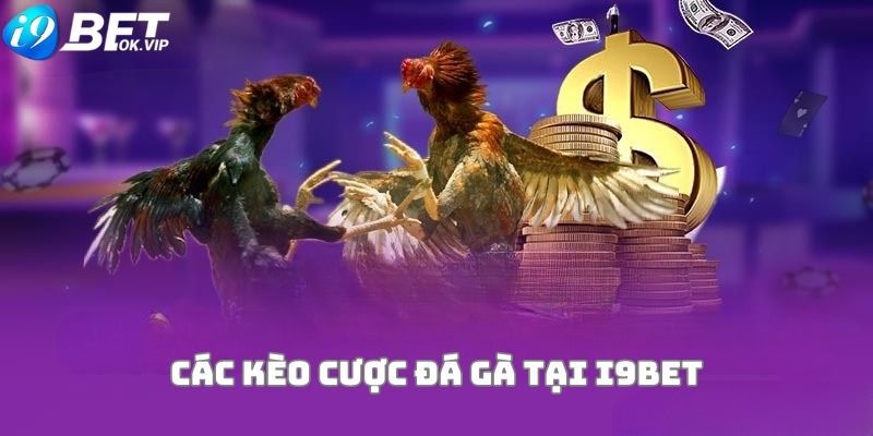 Vb68 sẽ mang đến cho bạn trải nghiệm máy đánh bạc trực tuyến độc đáo - Vb68