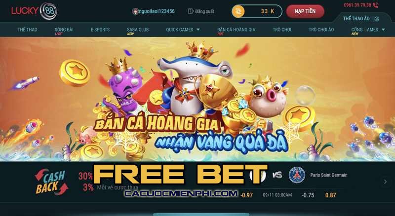 Những quy tắc quan trọng cho các trận đấu bóng đá cấp độ Win23 - Win23