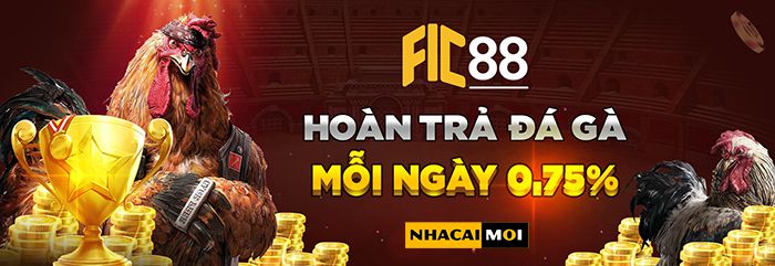 Lịch bảo trì của Abc8 là khi nào? - Abc8