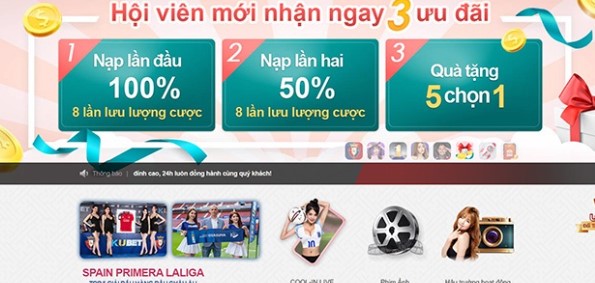 Chứng chỉ pháp lý và kinh doanh Vn68 - Vn68