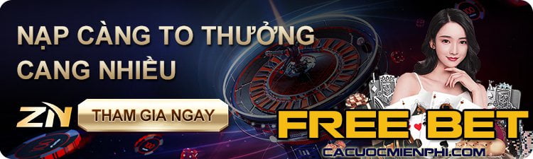 Trận đấu cấp độ H3bet của Pakistan - H3bet
